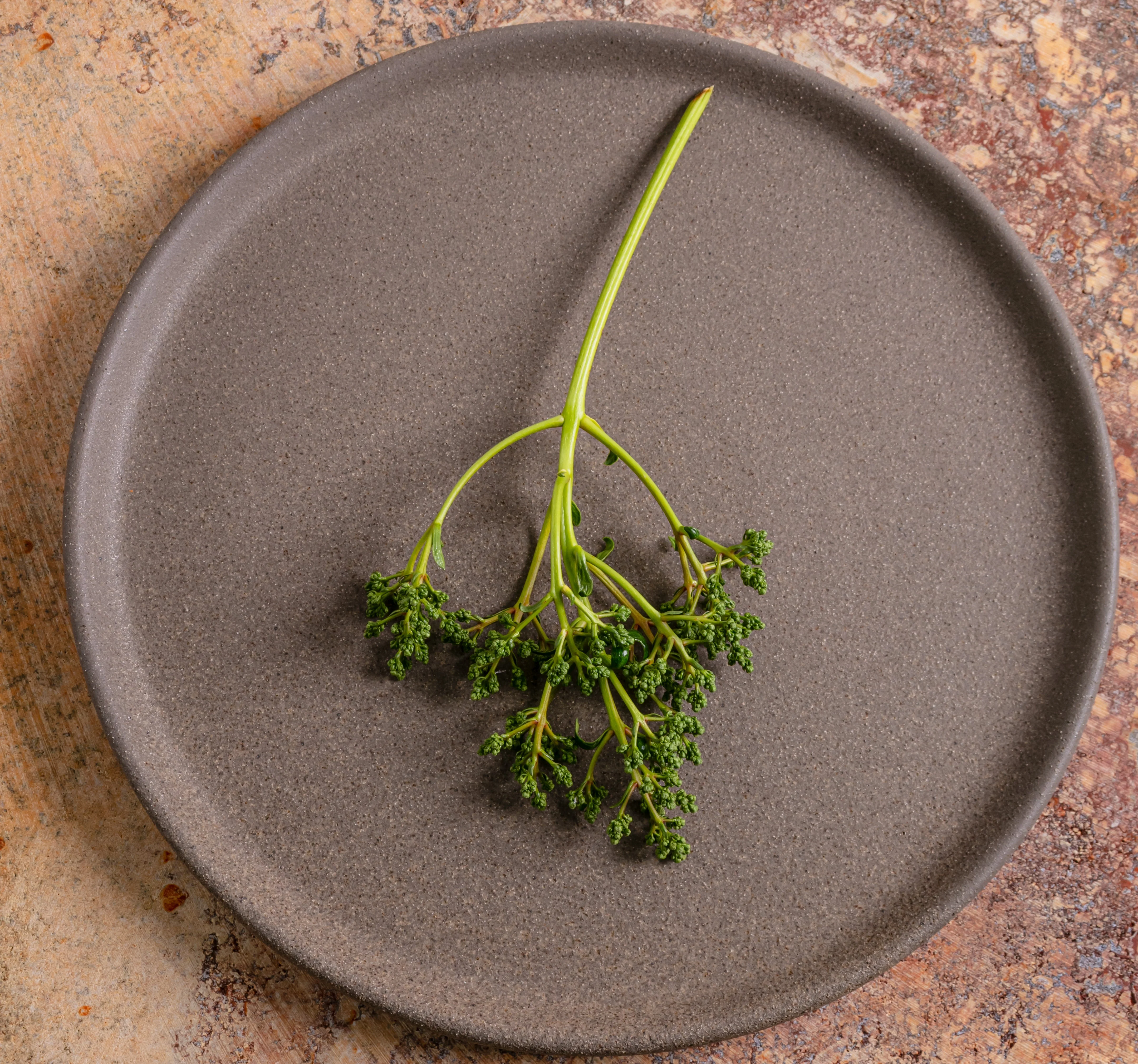 Plato Trinche 32 cm Plana | Plana Eco Ceramics - Image 4