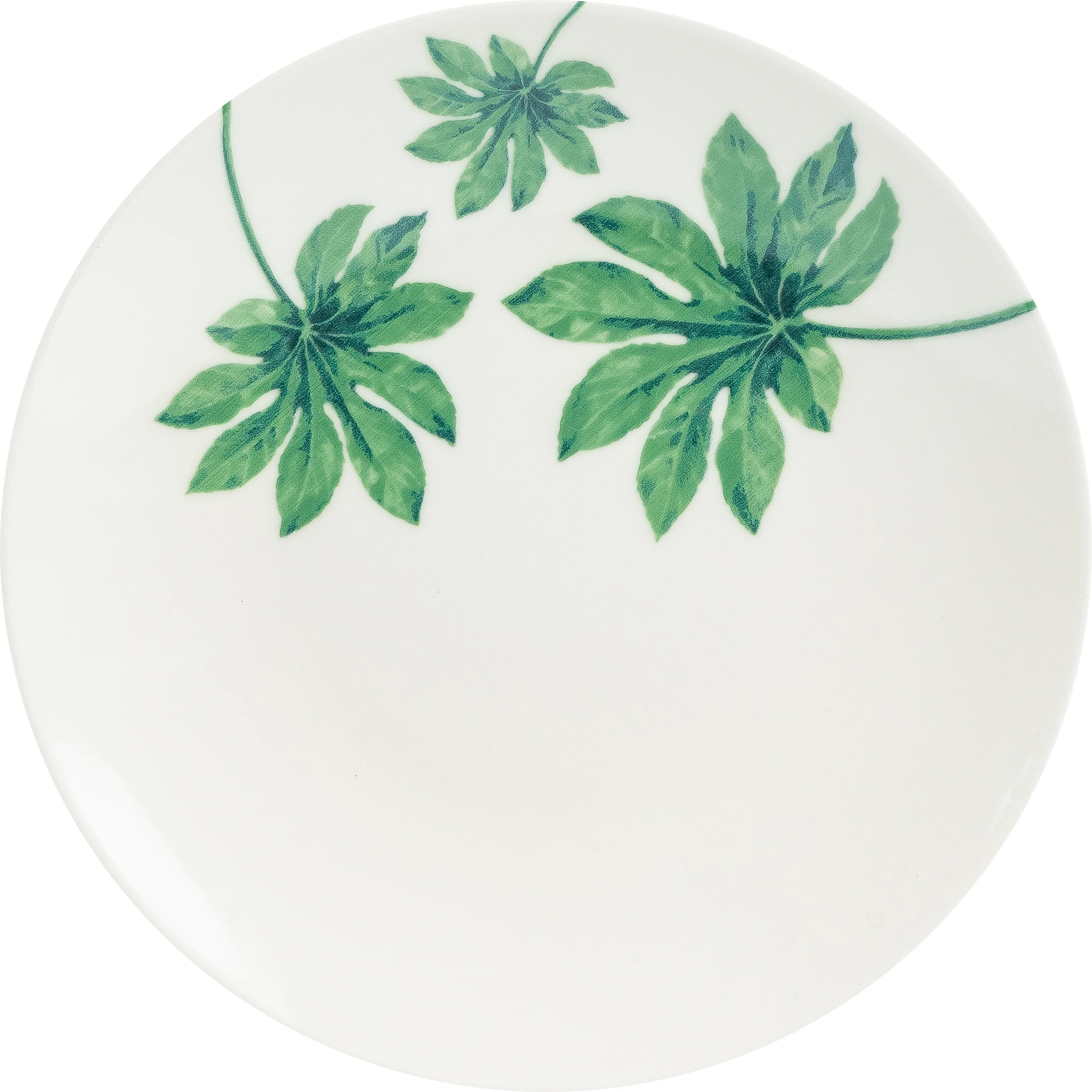 Vajilla de Porcelana 16 piezas | Tropical - Image 4